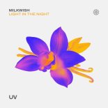 Milkwish - Light In The Night (Extended Mix)