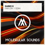 Kaimo K - Odin (Extended Mix)