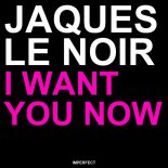 Jaques Le Noir - I Want You Now (Extended Mix)