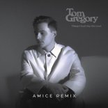 Tom Gregory - Footprints (Amice Remix)