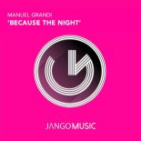 Manuel Grandi - Because the Night (Original Mix)