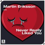 Martin Eriksson - Never Really Liked You (Extended Mix)