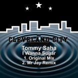Tommy Saha - I Wanna Sugar (Original Mix)