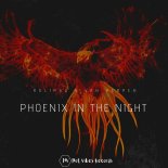 Rolipso feat. Van Herpen - Phoenix In The Night