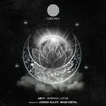 Abity - Lotus (Mass Digital Remix)