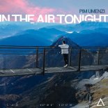 Pim Umenzi - In The Air Tonight (Extended Mix)