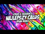 Joker & Sequence - Najlepszy Całus (BRiAN Extended Remix)