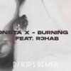 Monsta X feat. R3hab - Burning Up (DJ KIPS Remix)