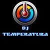 Alan Walker - Unity (DJ TemperaTura remix)