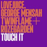 George Mensah & Twinflame (US) & Rozegarden - Touch It (Extended Mix)