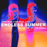 Jonas Blue & Sam Feldt Present Endless Summer - Till The End