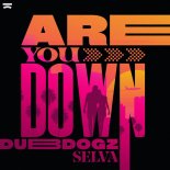 Dubdogz & Selva - Are You Down (Extended Mix)
