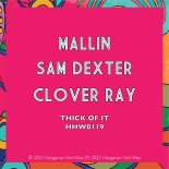 Mallin, Sam Dexter, Clover Ray - Thick Of It (Extended Mix)