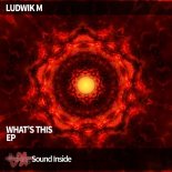 Ludwik M - Darling Baby (Original Mix)