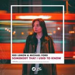 Michael Ford, Red Lemon - Somebody That I Used to Know (Original Mix)