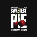 Megan Thee Stallion Feat. Dua Lipa - Sweetest Pie (David Guetta Festival Remix Extended)