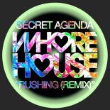 Secret Agenda - Rushing (Remix) (Stereotype Remix)