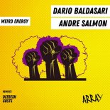 Andre Salmon, Dario Baldasari - Weird Energy (Deebesh Remix)