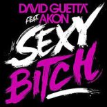 David Guetta ft. Akon  - Sexy Bitch (Mazdem VIP Edit)