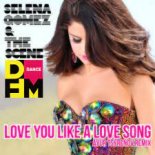 Selena Gomez & The Scene — Love You Like A Love Song (Ayur Tsyrenov DFM Remix)