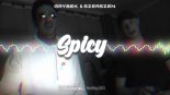 Grybek & Szerszeń - Spicy (Dj Squirrel Bootleg)