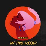 Mark Budin - In The Mood (Original Mix)