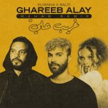 Elyanna, Balti - Ghareeb Alay (R3hab Remix)