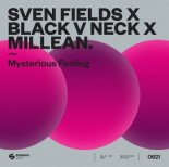 Sven Fields & Black V Neck Feat. Millean - Mysterious Feeling
