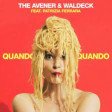 The Avener & Waldeck - Quando Quando ( dj veleno remix )