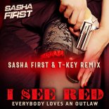 Everybody Loves An Outlaw - I See Red (Sasha First & T-Key Radio Remix)