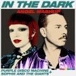 Purple Disco Machine, Sophie and the Giant & Jove - In the dark (ANG3L MASHUP)