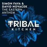 Simon Fava, David Novacek - The Eastern Anthem (Original Mix)