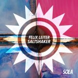 Felix Leiter - Saltshaker (Original Mix)