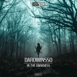 DardWinsso - In The Darkness (Original Mix)