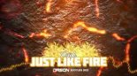 PINK - JUST LIKE FIRE (ORSON BOOTLEG) 2022