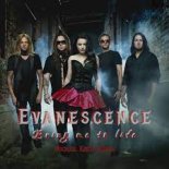 Evanescence - Bring me to life (Michael Kruzh Remix)