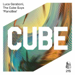 Luca Garaboni, The Cube Guys - Pianobee