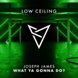 Joseph James - What Ya Gonna Do (Original Mix)