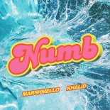 Marshmello & Khalid - Numb