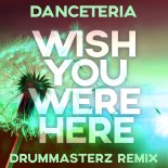 Danceteria - Wish You Were Here (DrumMasterz Remix)