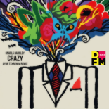 Gnarls Barkley — Crazy (Ayur Tsyrenov DFM remix)
