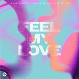 Lucas & Steve Vs. DubVision Feat. Joe Taylor - Feel My Love (Extended Mix)
