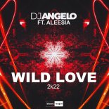 DJ Angelo Feat. Aleesia - Wild Love (2K22)