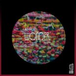 Abide - Wonder (Original Mix)