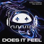 Tomsky, Frizzyboyz, Nana Lee - Does It Feel