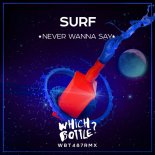 SURF - Never Wanna Say (Extended Mix)