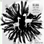 Billamas - Like This (Andres De Los Rios Remix)
