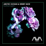 Arctic Ocean & Henry Moe - Northern Lights (Extended Mix)