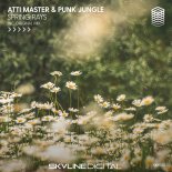 Atti Master & Punk Jungle - Spring Rays (Original Mix)