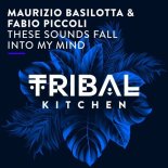 Maurizio Basilotta, Fabio Piccoli - These Sounds Fall into My Mind (Original Mix)